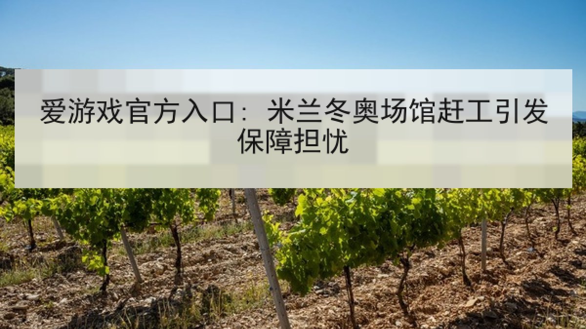 爱游戏官方入口: 米兰冬奥场馆赶工引发保障担忧